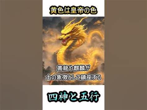 玄霜青龍|天之四霊